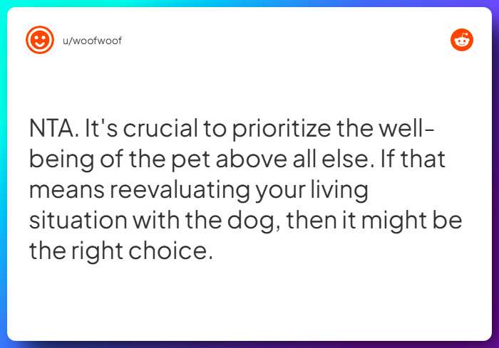 Comment from u/woofwoof