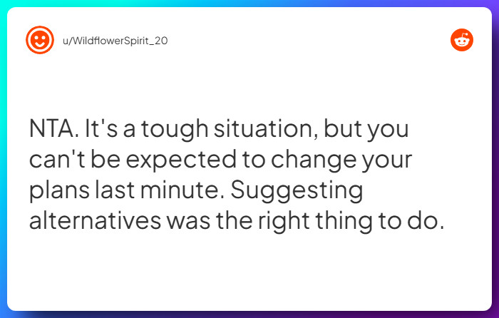 Comment from u/WildflowerSpirit_20