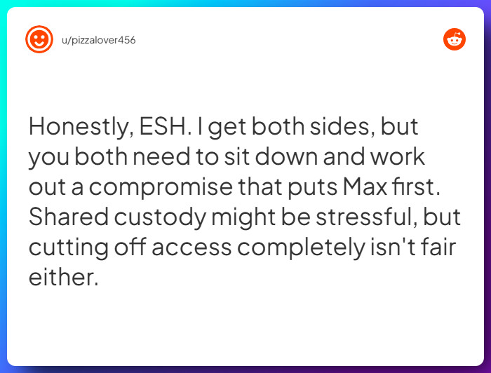 Comment from u/pizzalover456