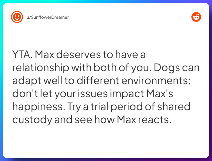 Comment from u/SunflowerDreamer