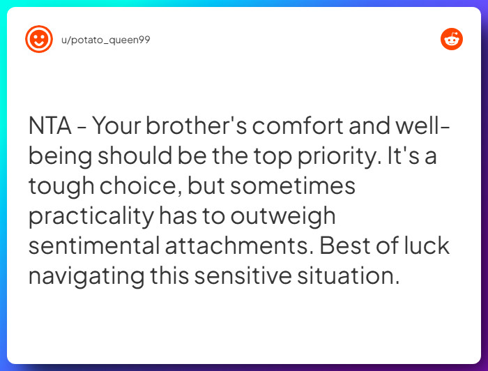 Comment from u/potato_queen99