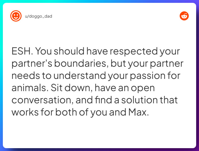 Comment from u/doggo_dad