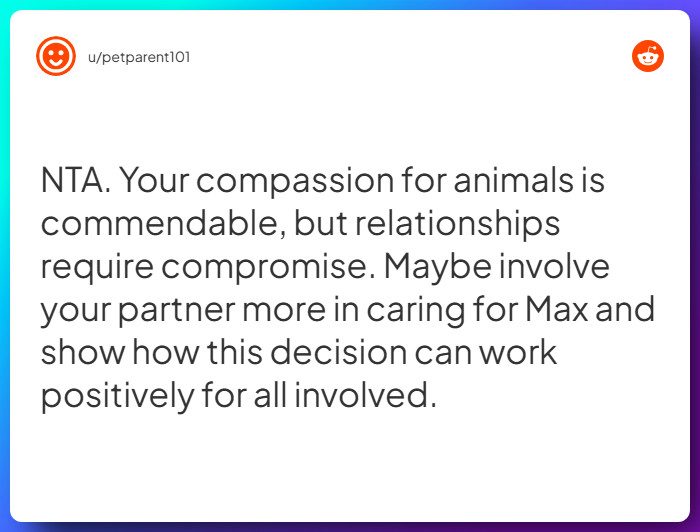 Comment from u/petparent101