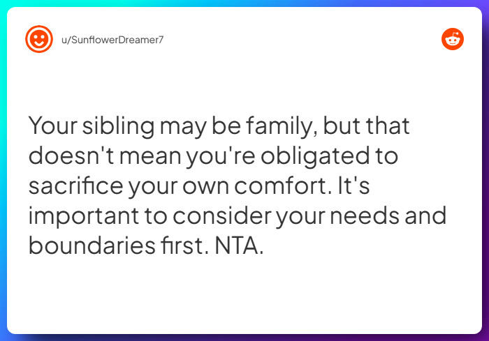 Comment from u/SunflowerDreamer7