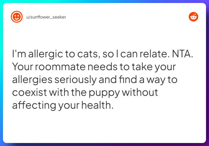 Comment from u/sunflower_seeker