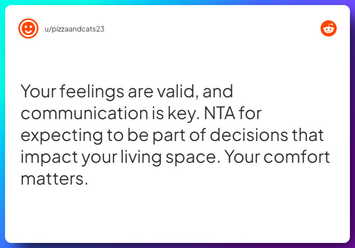 Comment from u/pizzaandcats23