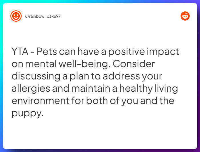 Comment from u/rainbow_cake97