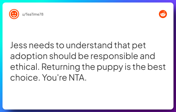 Comment from u/TeaTime78