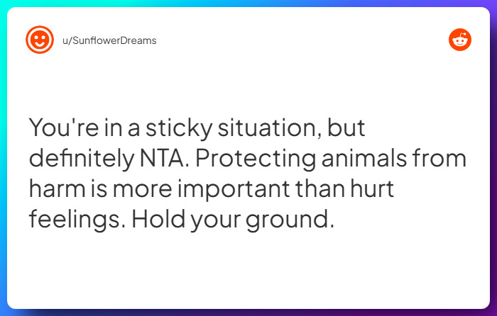 Comment from u/SunflowerDreams