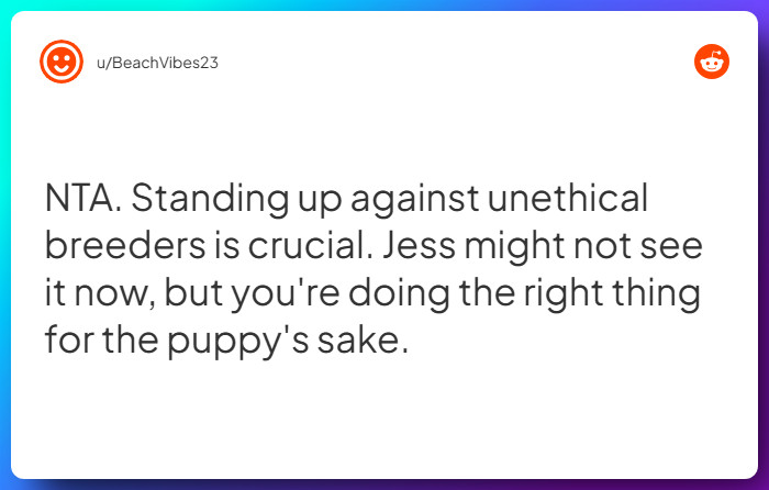 Comment from u/BeachVibes23