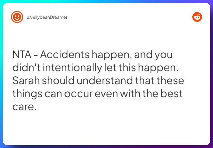 Comment from u/JellybeanDreamer