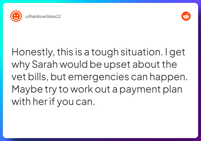 Comment from u/RainbowSkies22