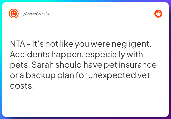 Comment from u/GamerChick24