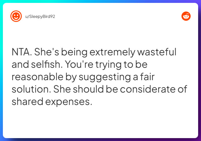 Comment from u/SleepyBird92