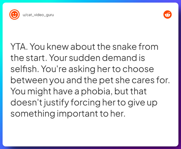 Comment from u/cat_video_guru