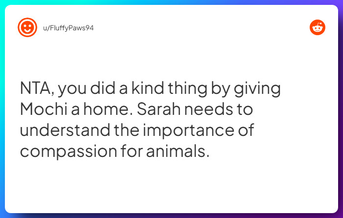 Comment from u/FluffyPaws94