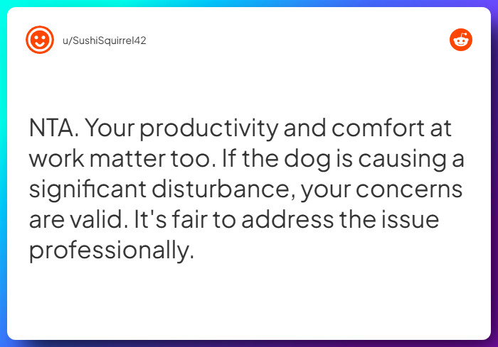 Comment from u/SushiSquirrel42