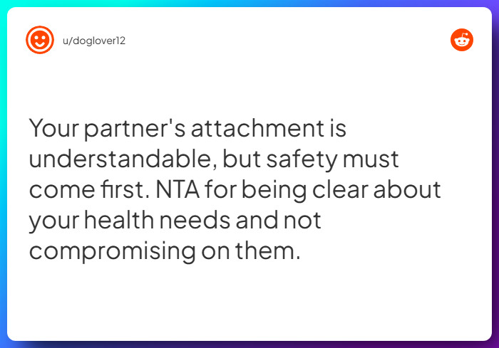 Comment from u/doglover12