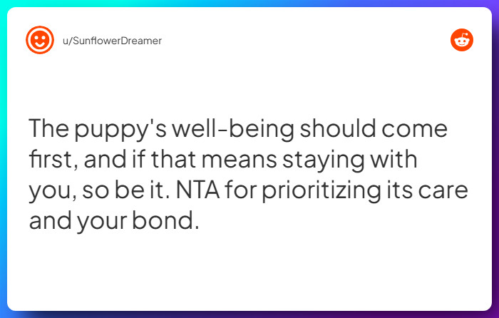 Comment from u/SunflowerDreamer