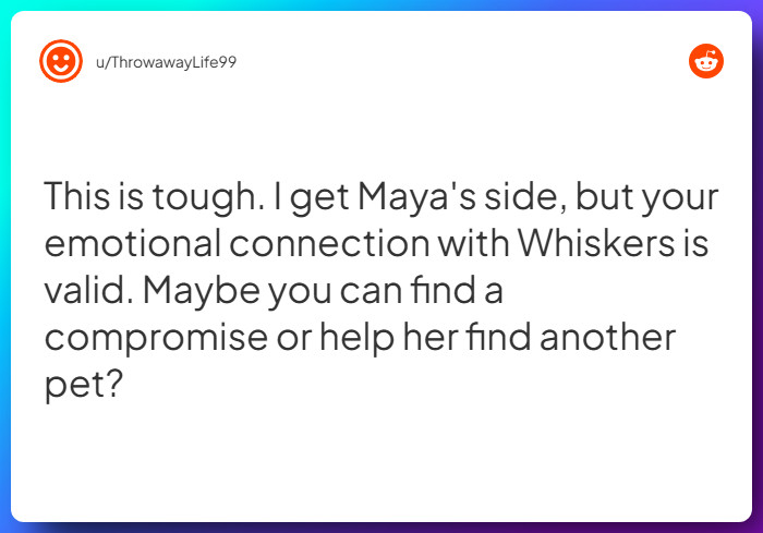 Comment from u/ThrowawayLife99