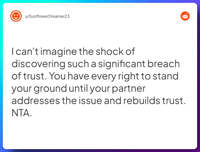 Comment from u/SunflowerDreamer23