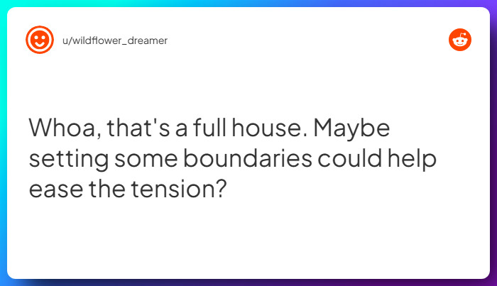 Comment from u/wildflower_dreamer