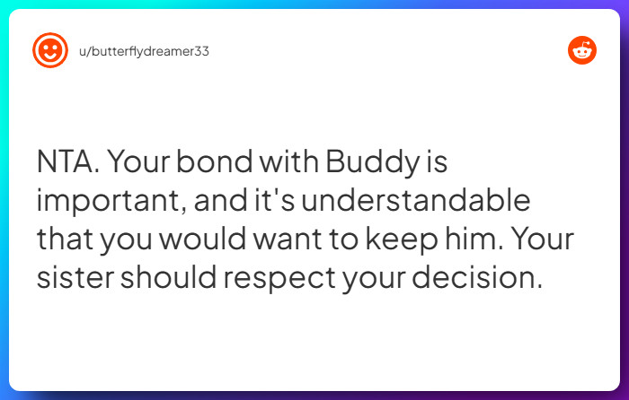 Comment from u/butterflydreamer33