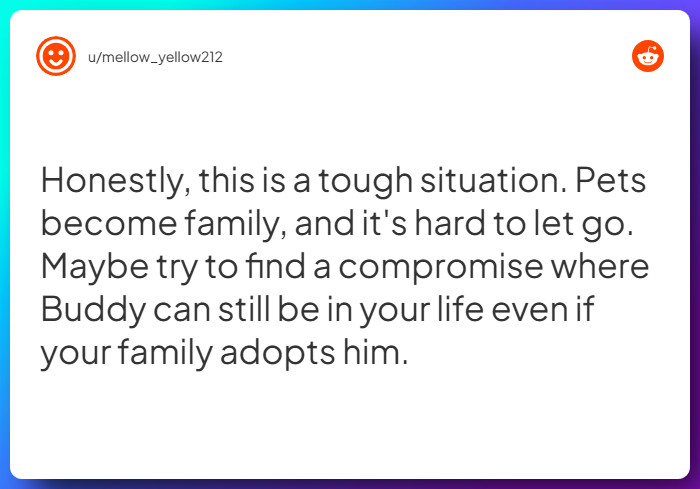 Comment from u/mellow_yellow212