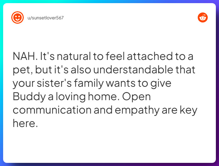 Comment from u/sunsetlover567