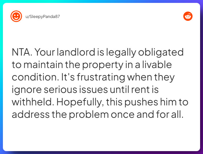 Comment from u/SleepyPanda87