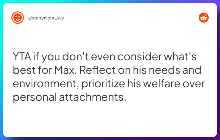 Comment from u/starrynight_sky