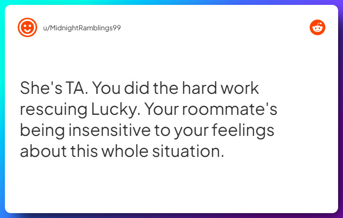 Comment from u/MidnightRamblings99