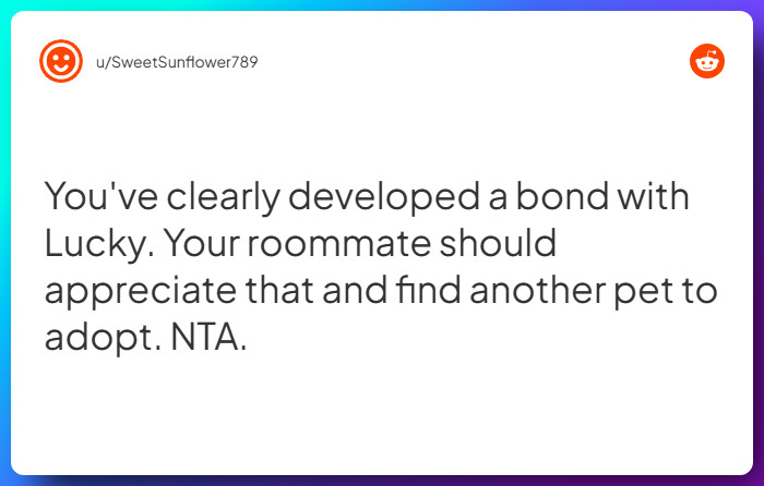 Comment from u/SweetSunflower789