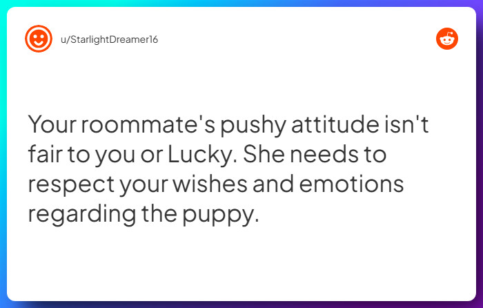 Comment from u/StarlightDreamer16