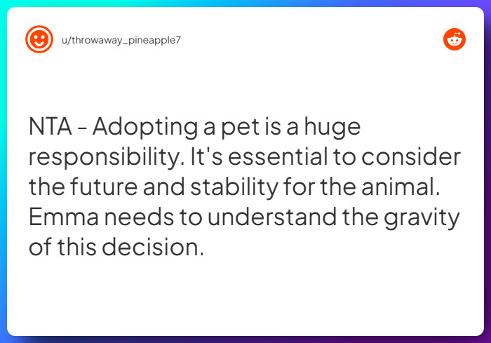 Comment from u/throwaway_pineapple7