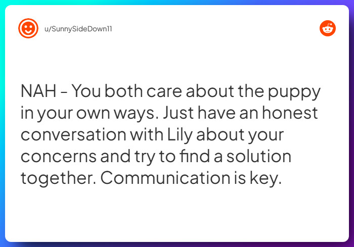 Comment from u/SunnySideDown11