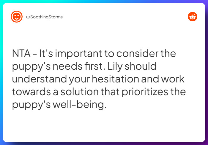 Comment from u/SoothingStorms