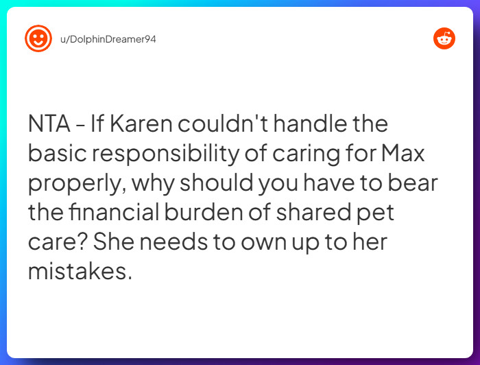 Comment from u/DolphinDreamer94