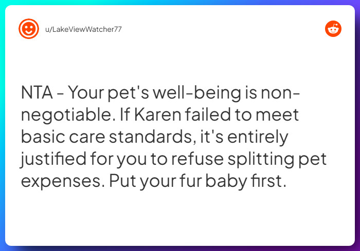 Comment from u/LakeViewWatcher77