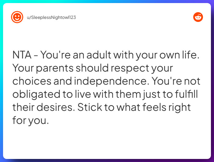 Comment from u/SleeplessNightowl123