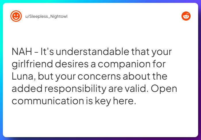 Comment from u/Sleepless_Nightowl