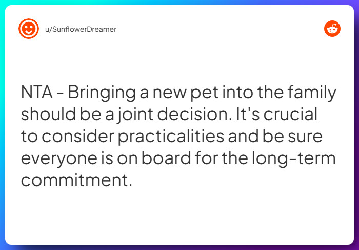 Comment from u/SunflowerDreamer