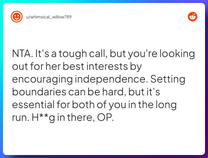 Comment from u/whimsical_willow789