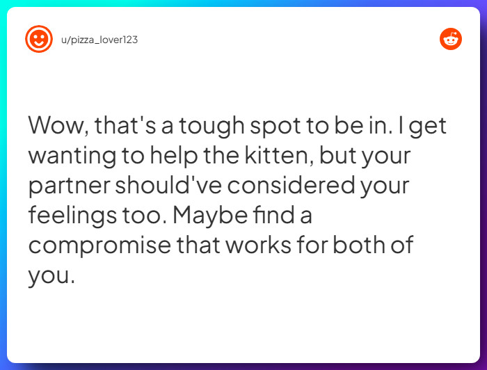 Comment from u/pizza_lover123