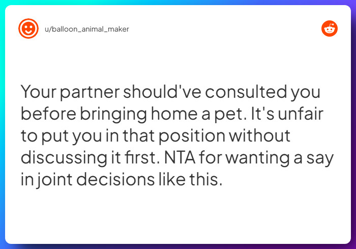 Comment from u/balloon_animal_maker