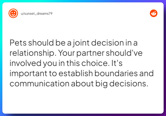 Comment from u/sunset_dreams79