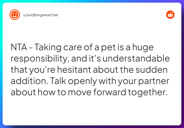 Comment from u/avidbingewatcher