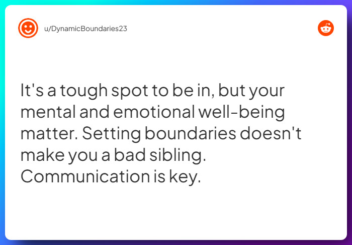 Comment from u/DynamicBoundaries23