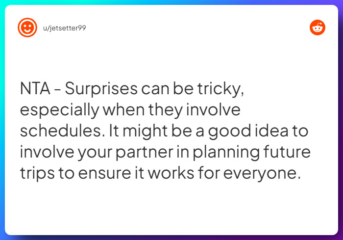 Comment from u/jetsetter99