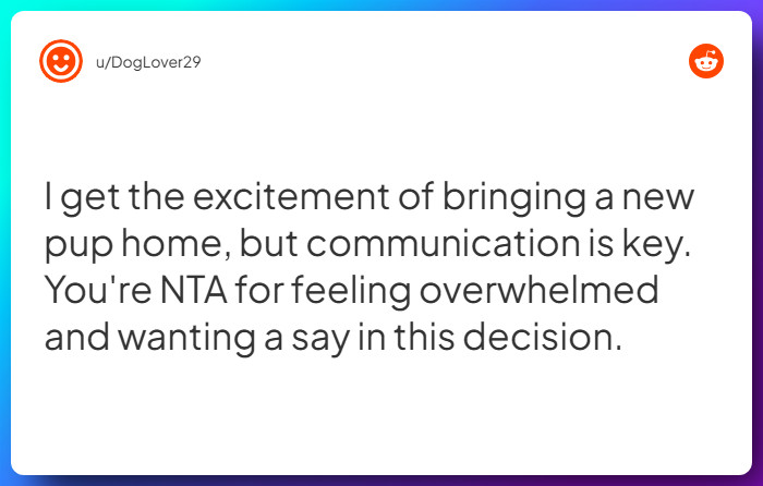 Comment from u/DogLover29